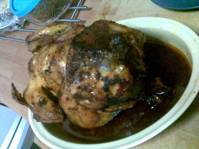 Pollo sentado en chefo